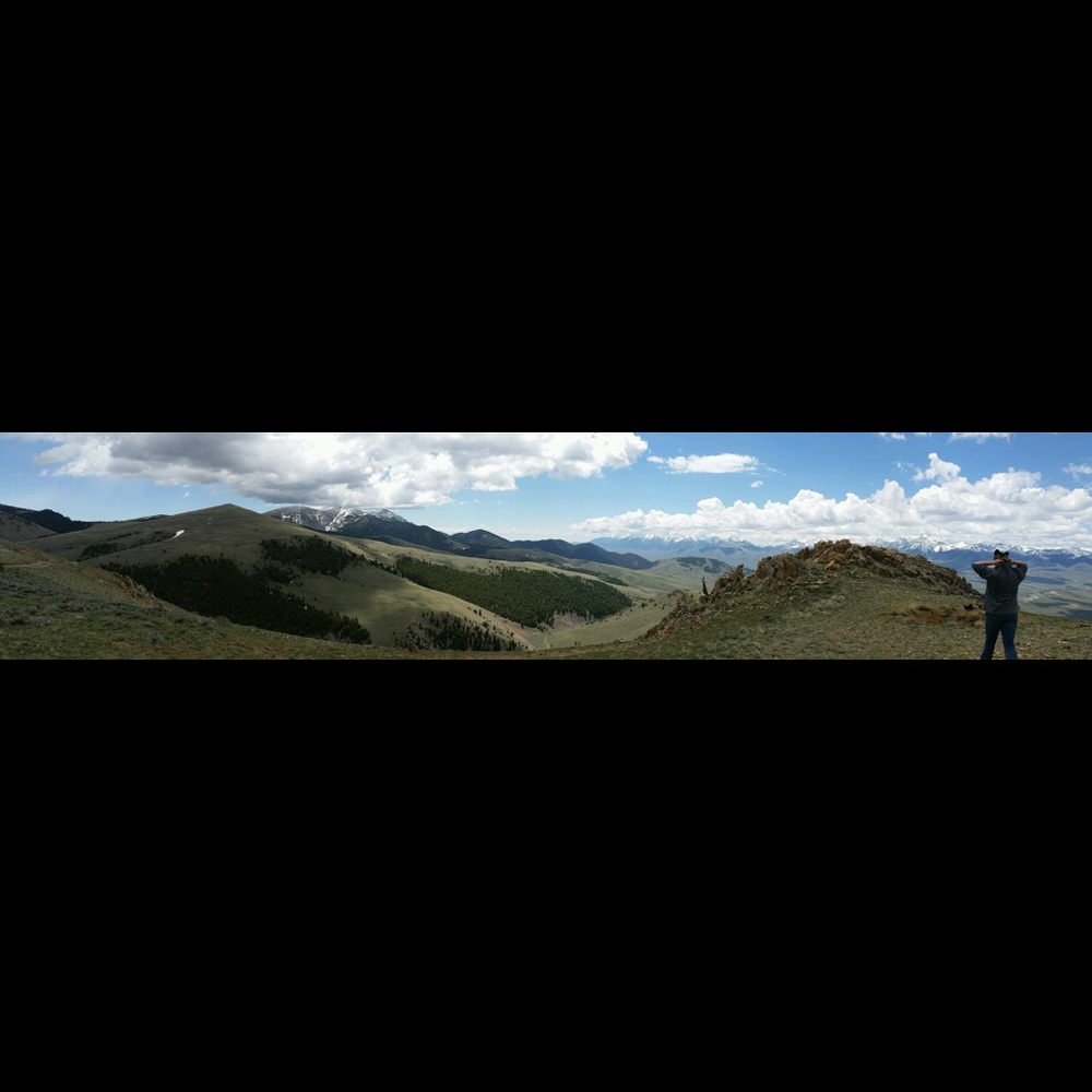 Meet your Posher, Melonie